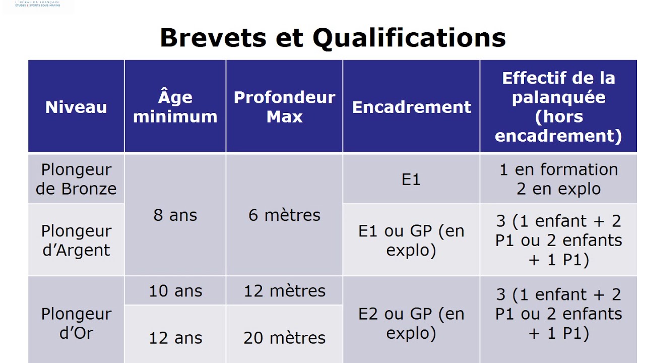Jeunes Plongeurs - Cours #1 - Enseigner à des Jeunes