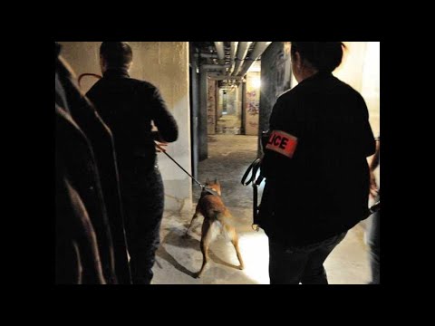 Une jeune fille séquestrée et torturée près de Lyon, quatre mineurs interpellés